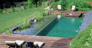 Pin By Jen Sprecher On Pool Backyard Pool Natural Swimming Pools Natural Pool