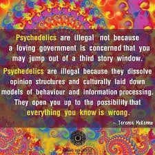 Psychedelics Information Processing Finding Peace Positive Thinking
