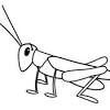 3,356 grasshopper vector eps illustrations and drawings available to search from thousands of royalty free clip art graphic designers. 1