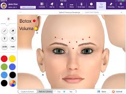 Integrated Visual Documentation and EHR for Plastic Surgery