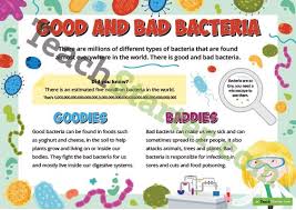 Microorganisms Good And Bad Bacteria Poster Microorganisms Teaching Bacteria