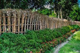 Rocks, sand, water, bamboo, trees, flowers and even bridges are placed with precision to create an exceptional sense of organic asymmetry. Bamboo Fence Of Japanese Garden With Green Plants In The Park Stock Photo Picture And Royalty Free Image Image 85007706