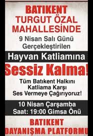 Ankara Batikent Te Kopek Katliami 1832488 Uludag Sozluk Galeri