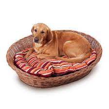 Schöne produkte erhalten sie bei aliexpress produktlinks für. Hundebett Hundeschlafplatz Gunstig Online Kaufen Zooplus
