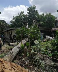 It is usually played in backyards, parks, or in streets when there is little traffic in an area. Pokok Tumbang Bfrd Brunei Fire Rescue Department Facebook