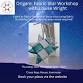 Origami Fabric Star Workshop with Louise Wright event image