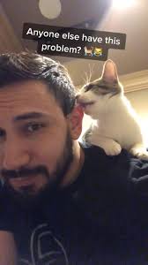 Katze Nuckelt Am Ohr