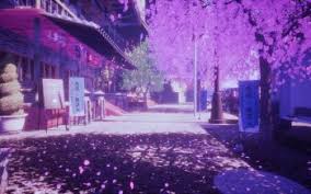 He never said he made it, he just said cherry blossoms and lava.. 68 4k Ultra Hd Cherry Blossom Wallpapers Background Images Wallpaper Abyss