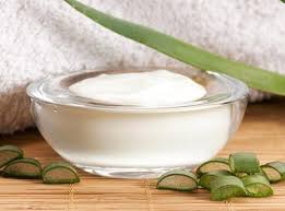 Aloe Vera Ve Zeytinyagi Ile Gunes Koruyucu Krem Yapimi Sosyolife Net Aloe Krem Dogal Cilt Bakimi