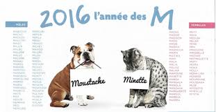 L'originalité est à l'ordre du jour. 2016 Noms En M Chat