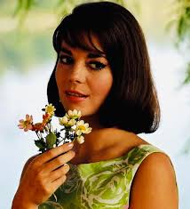 Tragic Accident in Olean: Remembering Gail Woodard