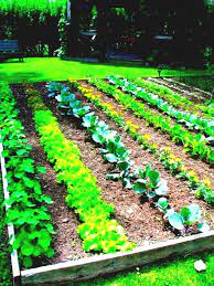 55 Cute Garden Ideas Bloxburg Bloxburg Garden Ideas Vegetable Garden Planning Garden Layout Vegetable Vegetable Garden Planner