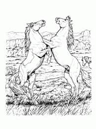 Download free coloring pages for girls and make just a small effort to print them. Horses Free Printable Coloring Pages For Kids