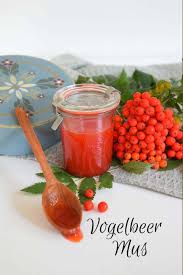 Wild Durchs Jahr Vogelbeermus Meine Naturdelikatesse In 2020 Rezepte Gesund Essen Und Trinken Beeren
