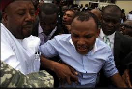 The federal government has arrested the leader of the proscribed indigenous people of biafra, ipob, nnamdi kanu, and brought him back, sunday. How Nnamdi Kanu Was Arrested In Lagos Hotel Dss Finally Reveals Naijaloaded
