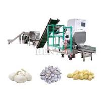 Durable Garlic Cloves Splitting Machine / Fresh Garlic Peeler / Color  Sorting Machine