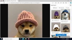 Image result for tbn:ANd9GcRLD2UOrZxjJEBJgjF8CWiNTg0Y5cu7J8PkmuBL2zt2mi5LaY3JQm9qqw