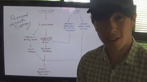 Congestive heart failure, chronic obstructive pulmonary disease. What Is The Mechanism Of Paroxysmal Nocturnal Dyspnoea Youtube