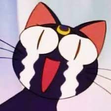 https://encrypted-tbn0.gstatic.com/images?q=tbn:ANd9GcTiayP6Y9m2hCYudjJrItbi3FQuYi-KWqwZZeEdhabhRgaeR4-vT_t8dfudV0sA7SbSlgE&usqp=CAU