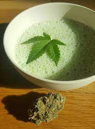 Bhang Lassi, Cannabis Milk Shake- Alchimia Grow Shop