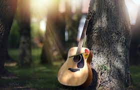 Maybe you would like to learn more about one of these? Hd Wallpaper Flowers Tree Guitar Wallpaper Flare