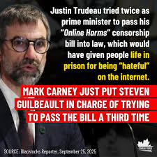 Why are the Liberals so obsessed with censoring the internet? 🤔