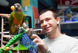 We carry a fantastic array of safe, species appropriate, raw come visit our pet supply store in sarasota, fl specializing in quality food, treats, and supplies for. The 10 Best Pet Stores In Florida