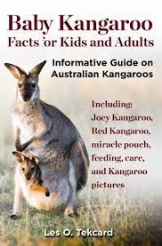 The baby kangaroo is born through its mother's vagina, as is the case with all placental mammals. Baby Kangaroo Facts For Kids And Adults Informative Guide On Australian Kangaroos How Baby Born Joey Pouch Miracle Care Feeding Red Kangaroo Eastern Grey English Edition Ebook Tekcard Les Amazon De Kindle Shop
