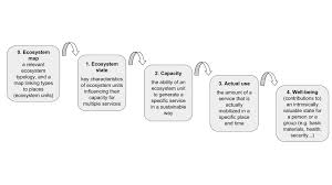 The staff accepts the first concern because it will be consistent with chapter 2 and 6. How To Design A Transdisciplinary Regional Ecosystem Service Assessment A Case Study From Romania Eastern Europe