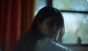 The Umesh Chronicles (2024)