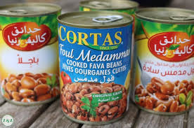 نتیجه جستجوی لغت [foul] در گوگل