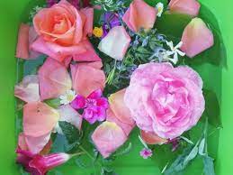 Un antico rituale propiziatorio e di purificazione legato al genova, dal falò all'acqua profumata: L Acqua Di San Giovanni E La Tradizione Popolare Viaggi E Sorrisi