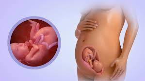 Seis Meses De Embarazo 23 A 27 Semanas