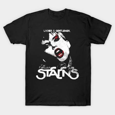 Ladies And Gentlemen, The Fabulous Stains T-Shirt