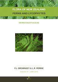 Image result for Dennstaedtiaceae