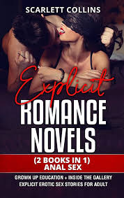 Explicit Romance Novels: (2 Books in 1) ANAL SEX: Grown up Education +  Inside the Gallery. Explicit Erotic Sex Stories for Adult: 9781802358155:  Amazon.com: Books