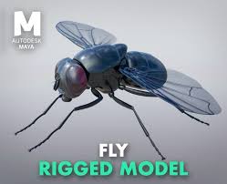 Fly Rig Flippednormals In 2020 3d Model Rigs 3d Assets