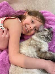 Rehoming a 9-month-old ragdoll kitten in Hideaway