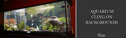 Image result for Terrarium Cling Background