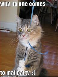 Image result for lolcats