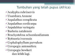 Berkongsi tentang tumbuhan liar yg sedap dimakan dan hampir dilupakan masyarakat.tumbuhan timun tikus.sedap dimakan sebagai ulam dan sayur. Pemeliharaan Dan Pemuliharaan