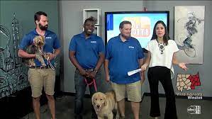 Her strong science background—including a ph.d. Talk Of Alabama 9 11 17 Creative Dog Training Wbma