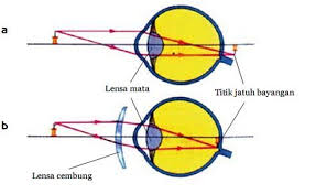 Check spelling or type a new query. Modul Belajar Ipa Kelas V Sd Cahaya Dan Alat Optik Plus Soal Soal Dwijunianto