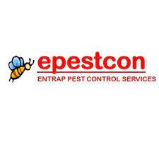 It can take care of termites, bed. The Best 10 Exterminators In Manila 1006 Last Updated April 2021