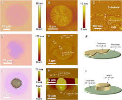 How do paralyzed people use the bathroom / how do. Subatomic Deformation Driven By Vertical Piezoelectricity From Cds Ultrathin Films Science Advances