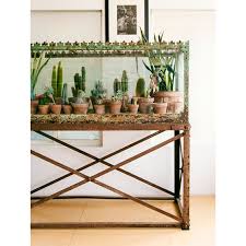 Steps to making an indoor cactus garden: Diy Indoor Cactus Garden Thrift The Look Little Vintage Cottage