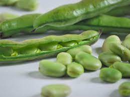 La zuppa di fave fresche è un primo piatto che sfrutta il gustoso abbinamento fra un legume di stagione ricco di qualità e la pancetta affumicata. Minestra Di Fave Fresche Ricetta Tradizionale Gusto Si