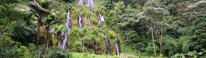 See tripadvisor's 16,723 traveler reviews and photos of pereira tourist attractions. Book A Flight From London To Pereira From 581 Fly Safely Lufthansa