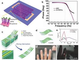 Download & view metal detector manual and schematic as pdf for free. Recent Progress In Micro Supercapacitor Design Integration And Functionalization Wang 2019 Small Methods Wiley Online Library