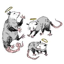 Peripheralsun Transparent Possums Creature Art Cute Art Animal Art